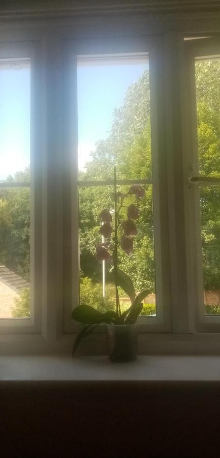 Parklife Apartment Liverpool Bagian luar foto